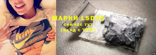 таблы Бородино