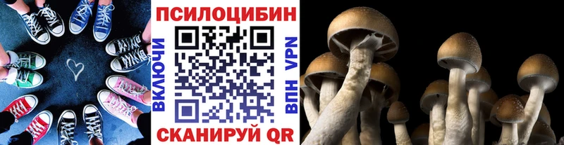Галлюциногенные грибы Psilocybine cubensis  где купить   Дзержинск 