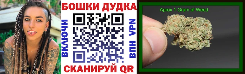 Шишки марихуана сатива  Дзержинск 
